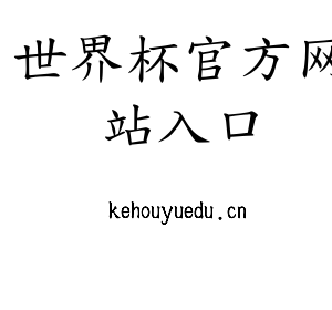 深圳市世界杯官方网站入口电子有限公司官网
